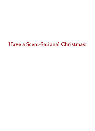 Secret Santa Humorous Ecard Inside