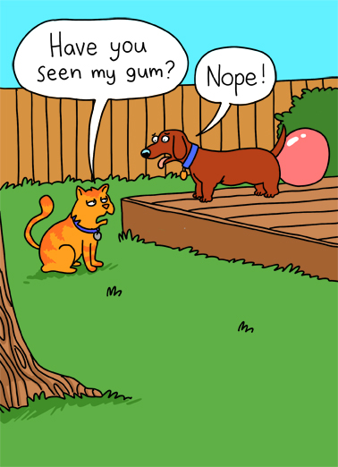 Seen Gum Cats Card Cover