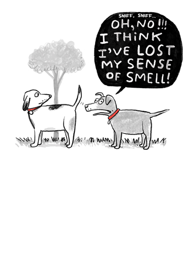 Sense of Smell Dogs Card Cover