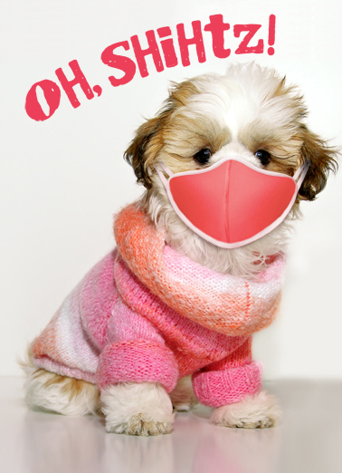 Shihtz Dog Quarantine Card Cover