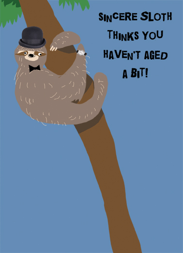 Sincere Sloth 5x7 greeting Card Cover