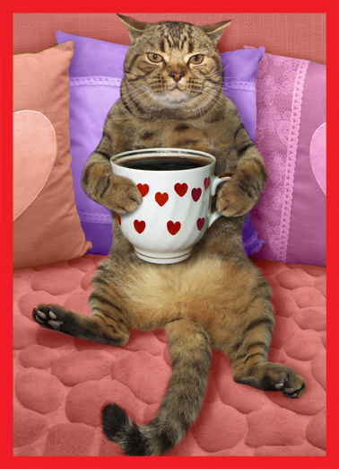 Sitting Here VAL Valentine's Day Ecard Cover