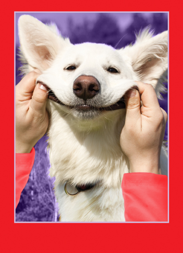 Smile Dog Val Valentine's Day Ecard Cover