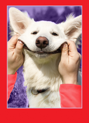 Smile Dog Val Lee Ecard Cover