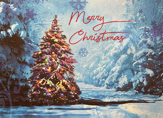 Snowy Lit Tree Christmas Card Cover