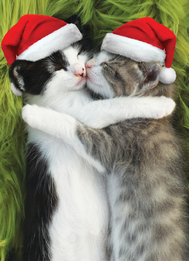 Snugs and Kisses XMAS Christmas Ecard Cover