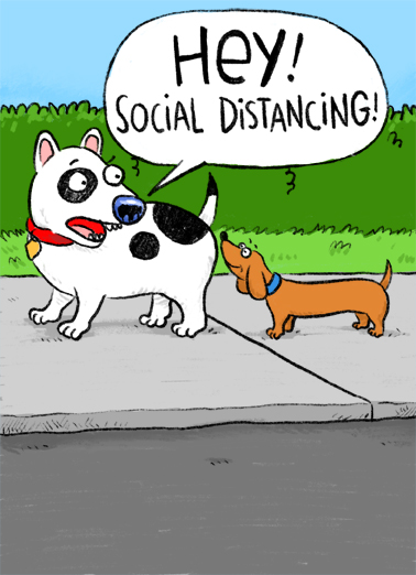 Social Distancing Dog Cartoons Card Cover