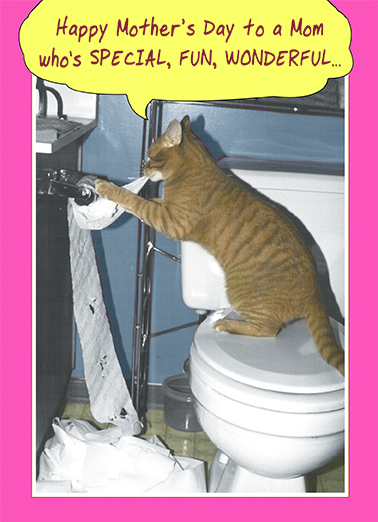 Special Fun Mom Cats Ecard Cover