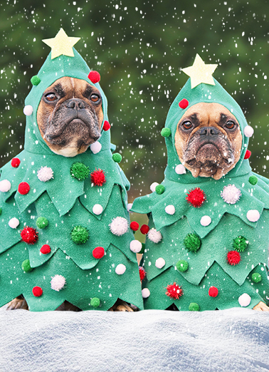 Spirit of Christmas Dogs Card Cover