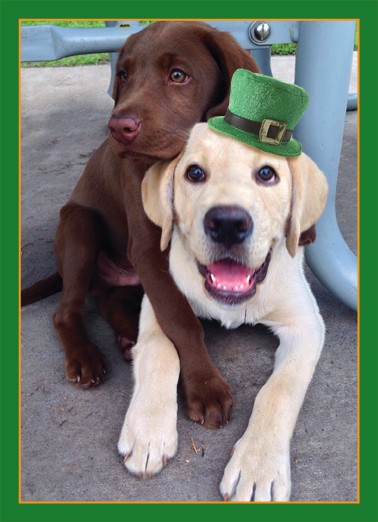 St. Patrick's Hug  Ecard Cover