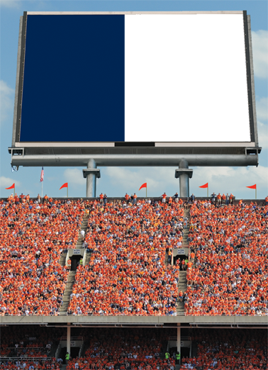 Stadium Big Screen  Card Cover