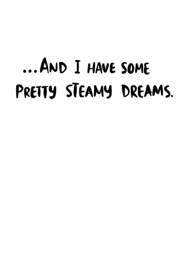 Steamy Dreams Cartoons Card Inside