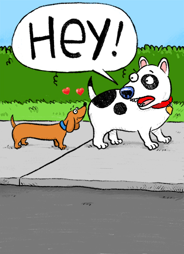 Stick my Nose Valentine's Day Card Cover