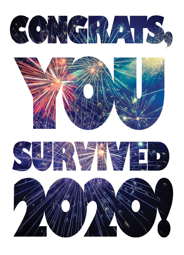Survived 2016 New Year's Ecard Cover