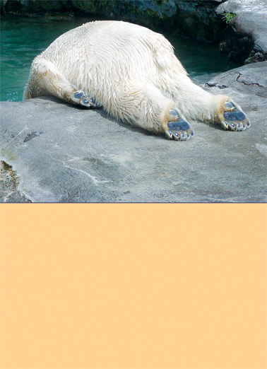 Take It Easy Funny Animals Ecard Cover