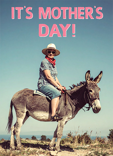 Take Your Ass Out MD Mother's Day Card Cover