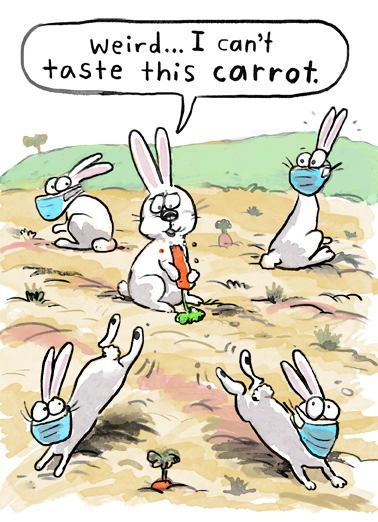 Taste Carrot Cartoons Ecard Cover