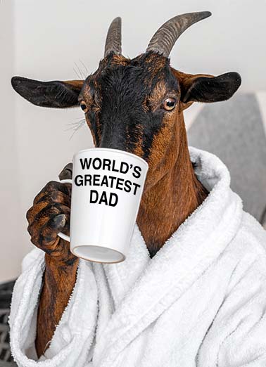 The Goat Funny Animals Card Cover