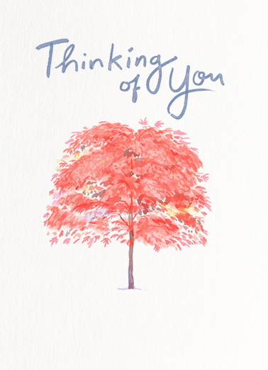 Thinking of You Blossom Tree For Any Time Card Cover