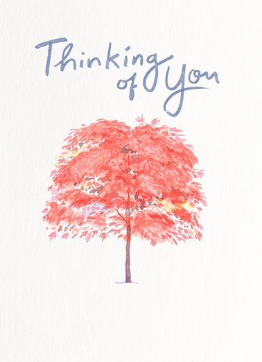 Thinking of You Blossom Tree For Any Time Ecard Cover