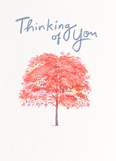 Thinking of You Tree For Her Card Cover