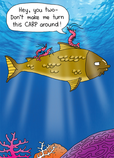 This Carp Cartoons Card Cover