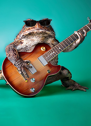 Toadally Rocks BDAY Birthday Card Cover