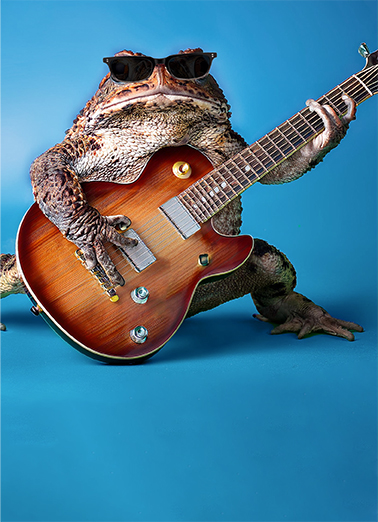 Toadally Rocks FD Funny Animals Ecard Cover