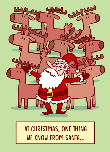 Too Many Bucks Christmas Card Cover