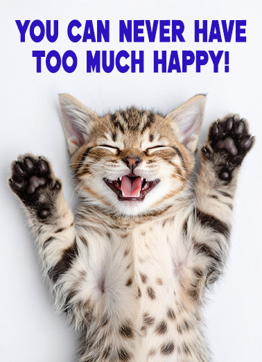 Too Much Happy Cat Birthday Ecard Cover