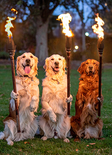 Torches Dogs Birthday Ecard Cover