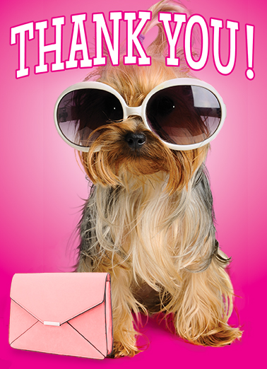 Totally Fabulous Thank You Card Cover
