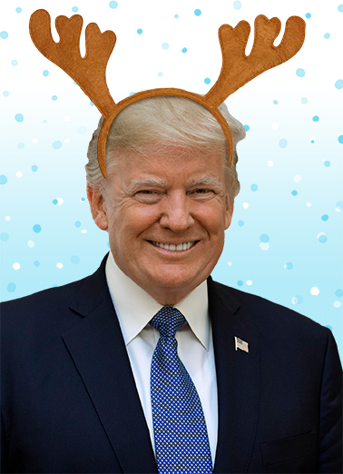 Trump Duncer Christmas Ecard Cover