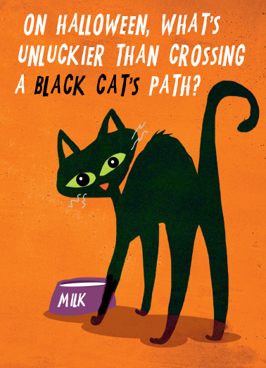Unlucky Cat Halloween Card Cover