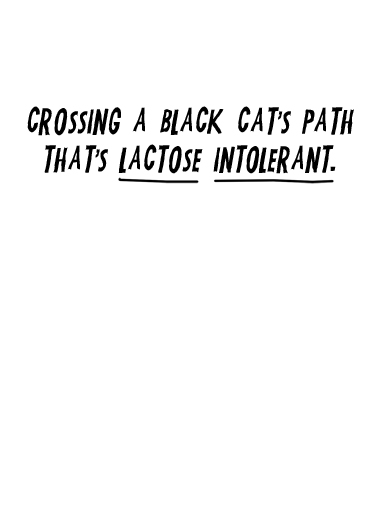 Unlucky Cat Jokes Card Inside