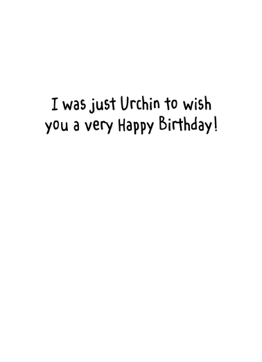 Urchin  Card Inside