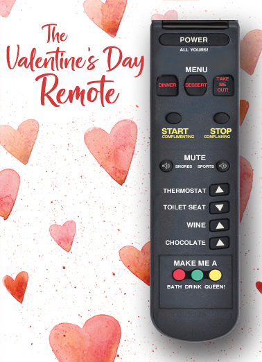 Valentine Womans Remote Valentine's Day Card Cover