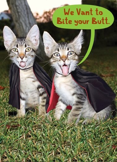 Vampurrs Cats Ecard Cover