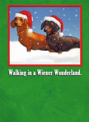 Walking Wiener ny Tim Card Cover