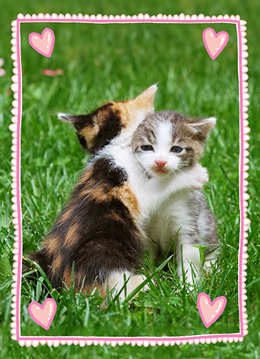 Warm Little Hug VAL Cats Ecard Cover