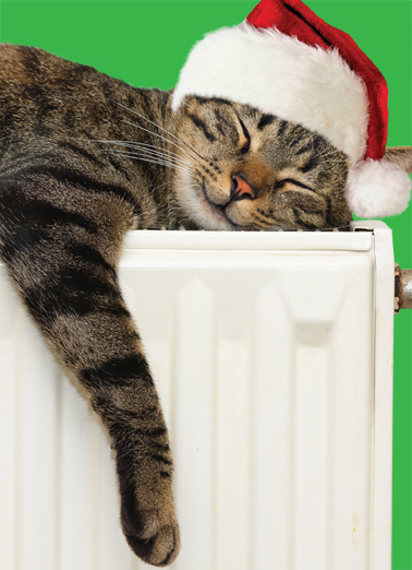 Warm and Happy XMAS Cats Card Cover