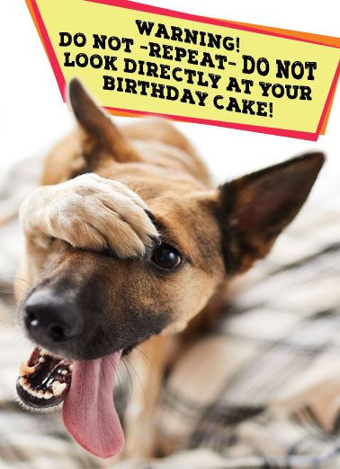 Warning Dog Cake  Card Cover
