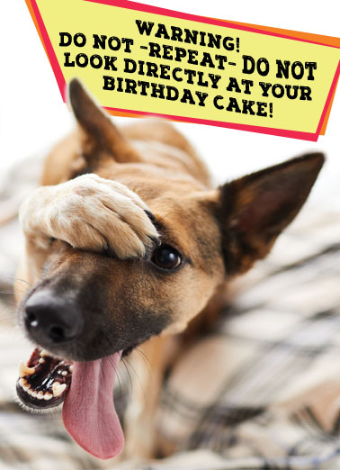 Warning Dog Cake Birthday Ecard Cover