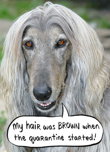 Was Brown Coronavirus Ecard Cover
