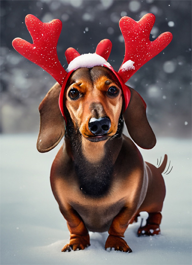 Weiner Dog Xmas  Ecard Cover