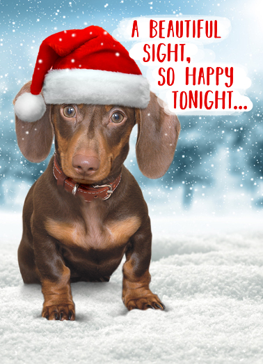 Weiner Wonderland Dachshund Card Cover