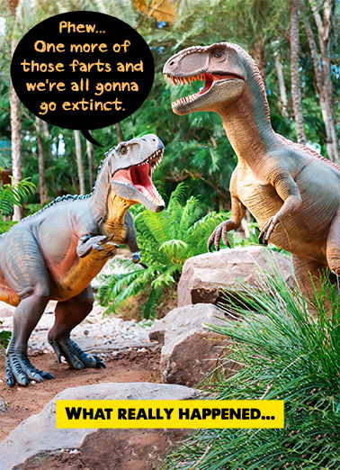 What Really Happened Humorous Card Cover