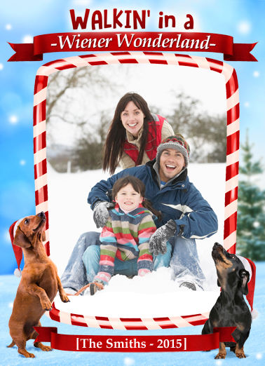 Fun Add Your Photo Christmas Cards and Flats 