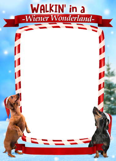 Wiener Wonderland_AYP Christmas Card Cover