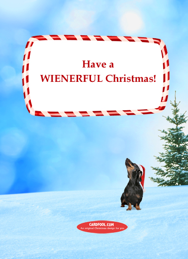 Wiener Wonderland_AYP  Card Inside